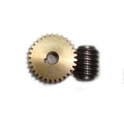 China high quality hot sale brass gears and worm